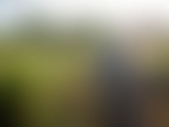 Embark on an unforgettable journey to #findyourfreedom with EcoTraining