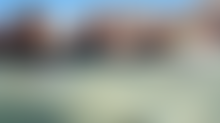 The Power of Immersive Learning