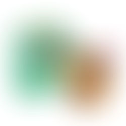 Bonnie Bio introduces disposable air fryer cooking cups for convenient kid and adult meal portions: The first of its kind in SA