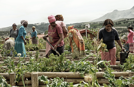 LOVE TO GIVE: Empowering vulnerable learners, youth and adults of Kayamandi through education, work experiences and food security