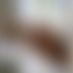 World Health Day - urgent support for NPOs amid funding crisis and rising burnout