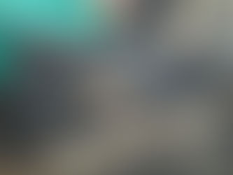 TEARS Animal Rescue needs help after fire at the premises