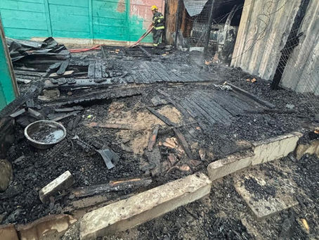 TEARS Animal Rescue needs help after fire at the premises