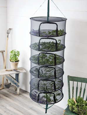 Mesh hanger, dry herbs