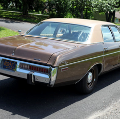 1973 Dodge Polara Back View.png