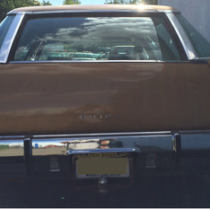 1971-72 Buick Estate Wagon Interior View.png