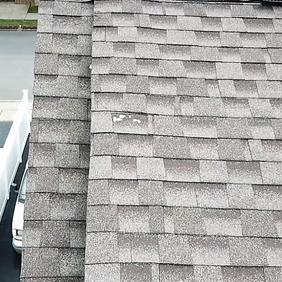 Roofing Inspections.PNG