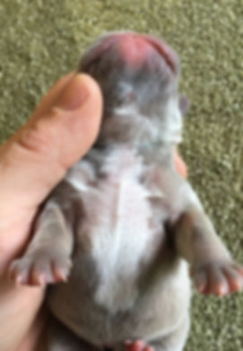 image2 (2).jpeg