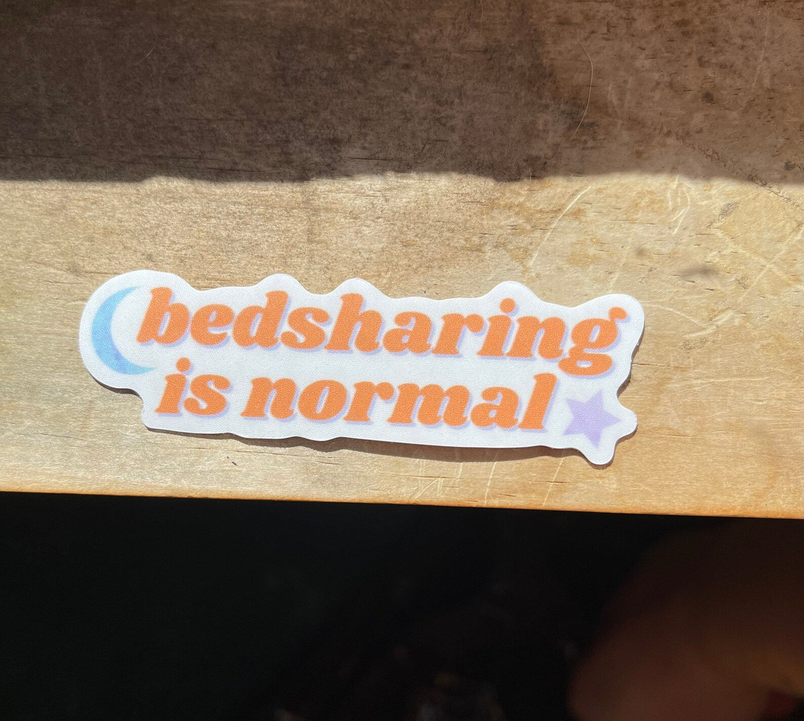 bedsharing is normal | sticker