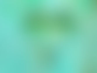 The Self-Care Debate