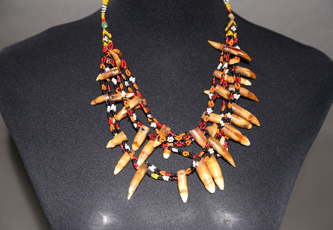 An intricately crafted dog teeth necklace