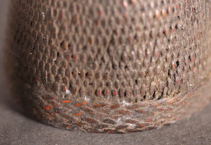 A closer look at the tabayag’s plaited base