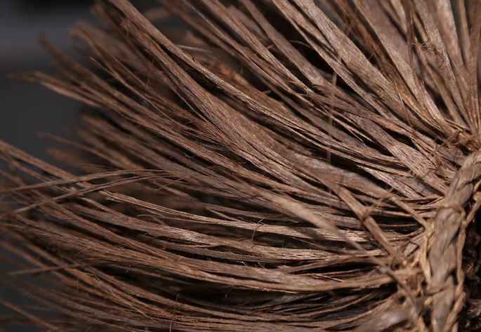 A detailed shot showing the cogon fibers