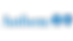 Anthem-Inc.-Logo.png