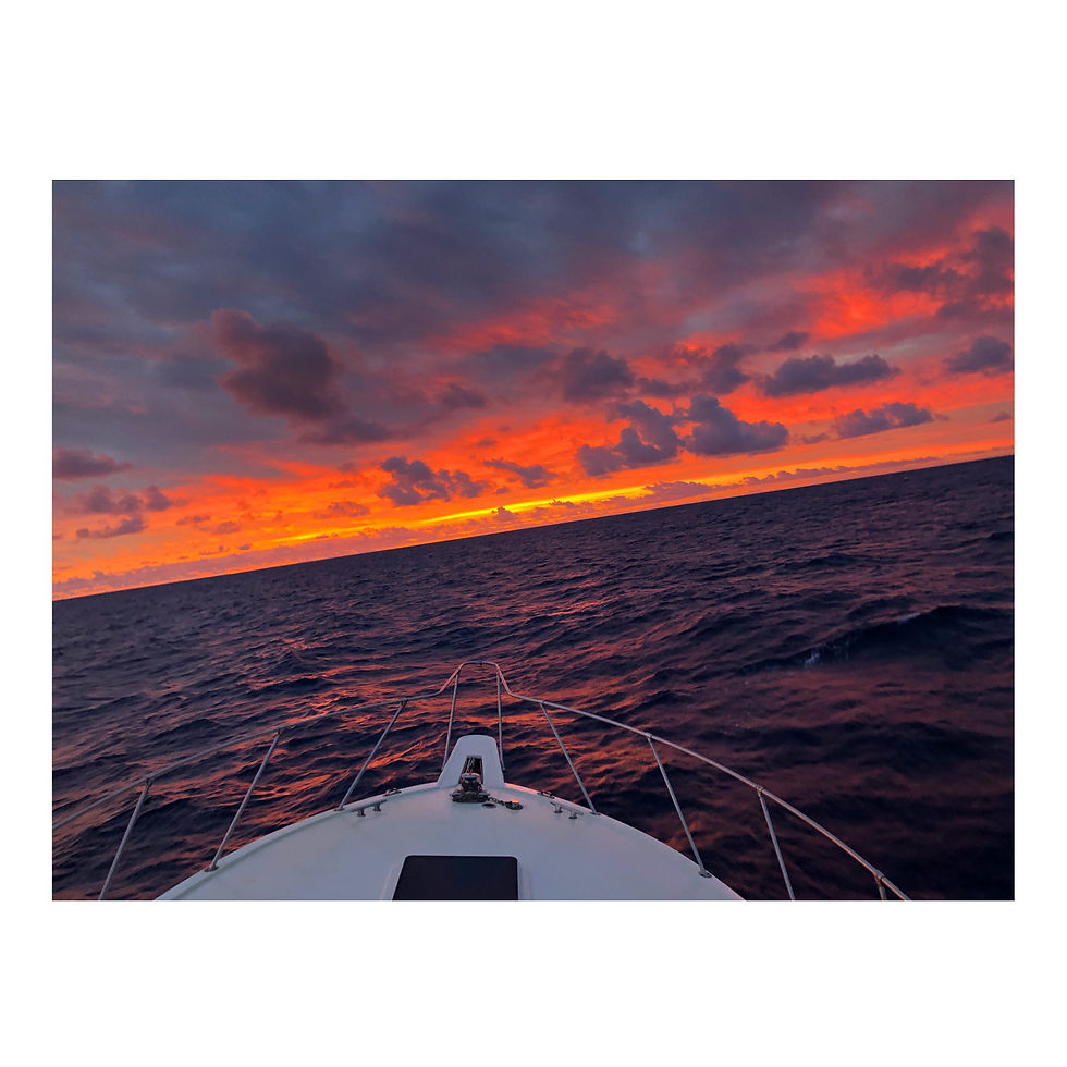 Personal Photography