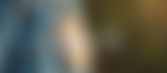 Why You Should Totally Consider Buying from Disho for Eco-Friendly Living