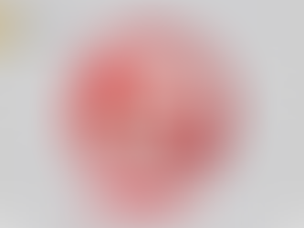 Kindy Town chủ động phòng, chống dịch tả lợn Châu Phi