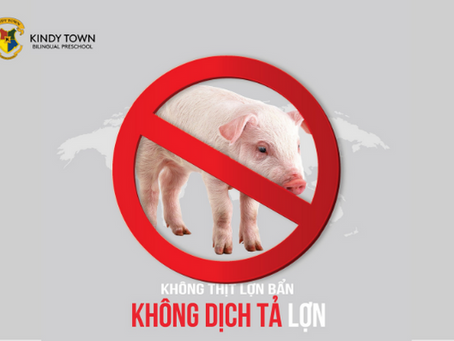 Kindy Town chủ động phòng, chống dịch tả lợn Châu Phi