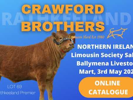 Online Catalogue Ballymena 3rd May 2021