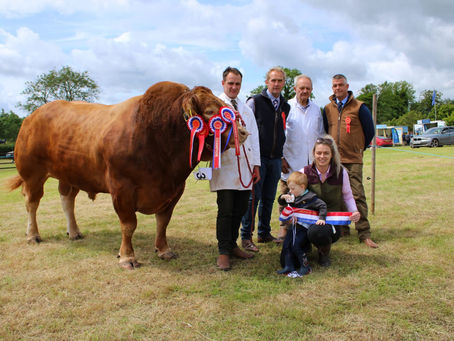 Saintfeild Show 2022