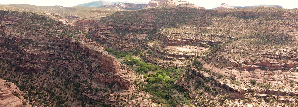 Miles of Canyons parallel to the trail