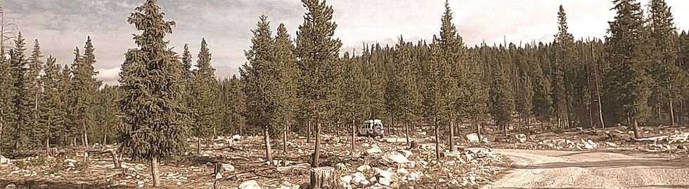 Glacier Boulder Field - Upper Provo