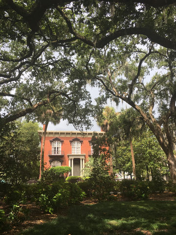 A house surrounded by trees in Savannah, Georgia.