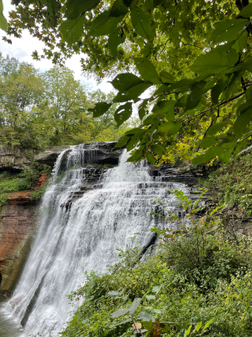 Trees in the foreground and a waterfall in the background.