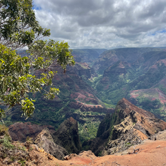 Waimea Canyon: Vast canyons in an iron rust color with lush green mixed in.
