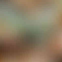 Schmackary's: inside of cookie shop with display of different cookies