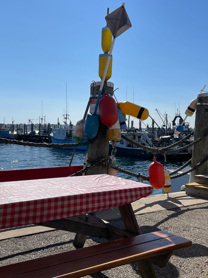 Lunch at the Dock: Picnic table with checked table cloth and the water with boats in the background