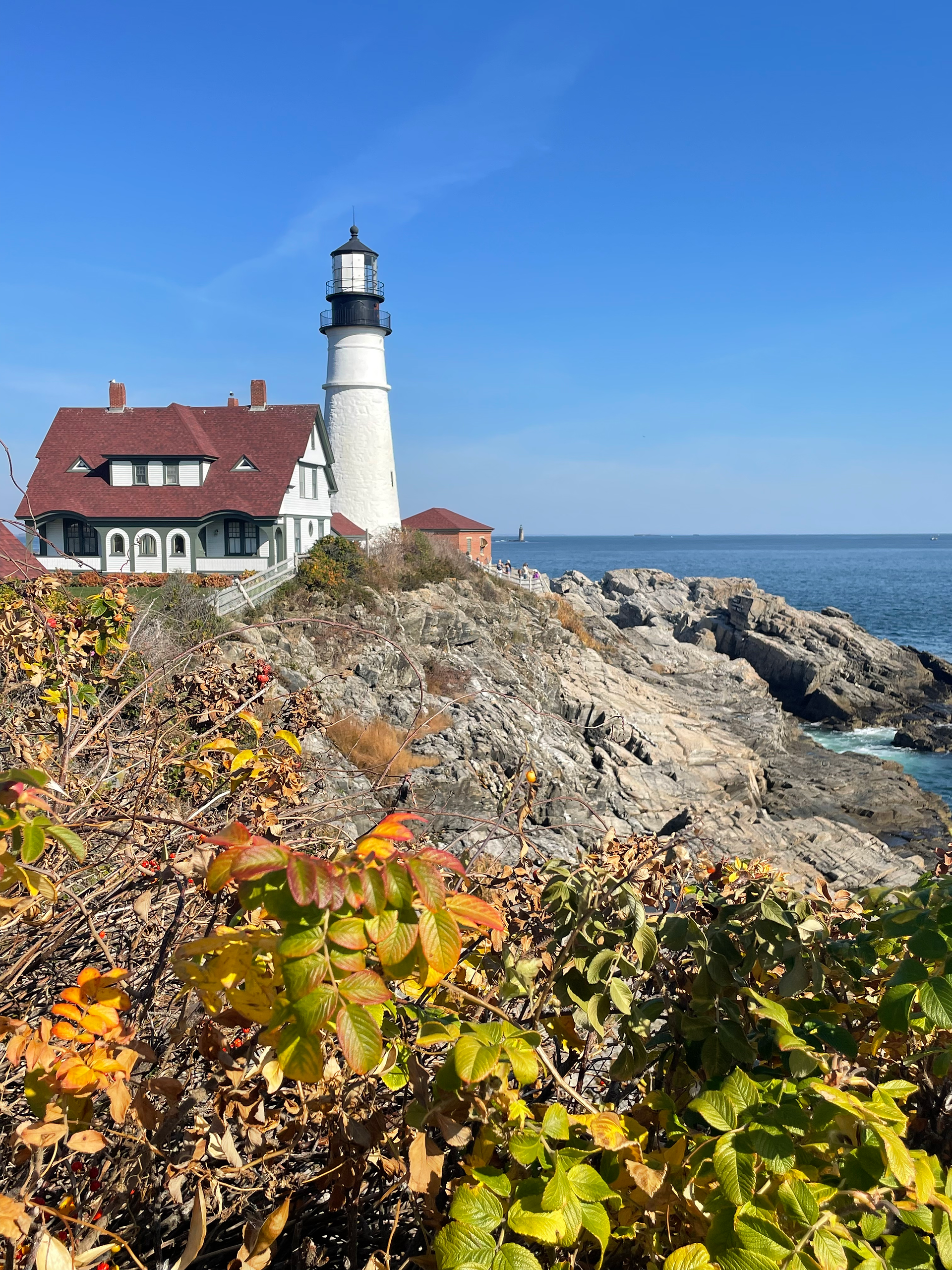 Portland Head Light: Autumn foliage in the foreground with the lighthouse in the background on rocks