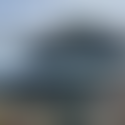 Reversing Falls: Plants in the foreground with some rocks behind it and water with another land mass in the background with similar vegetation