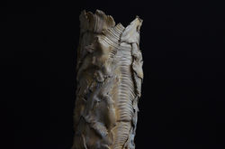 DSC_0773.JPG