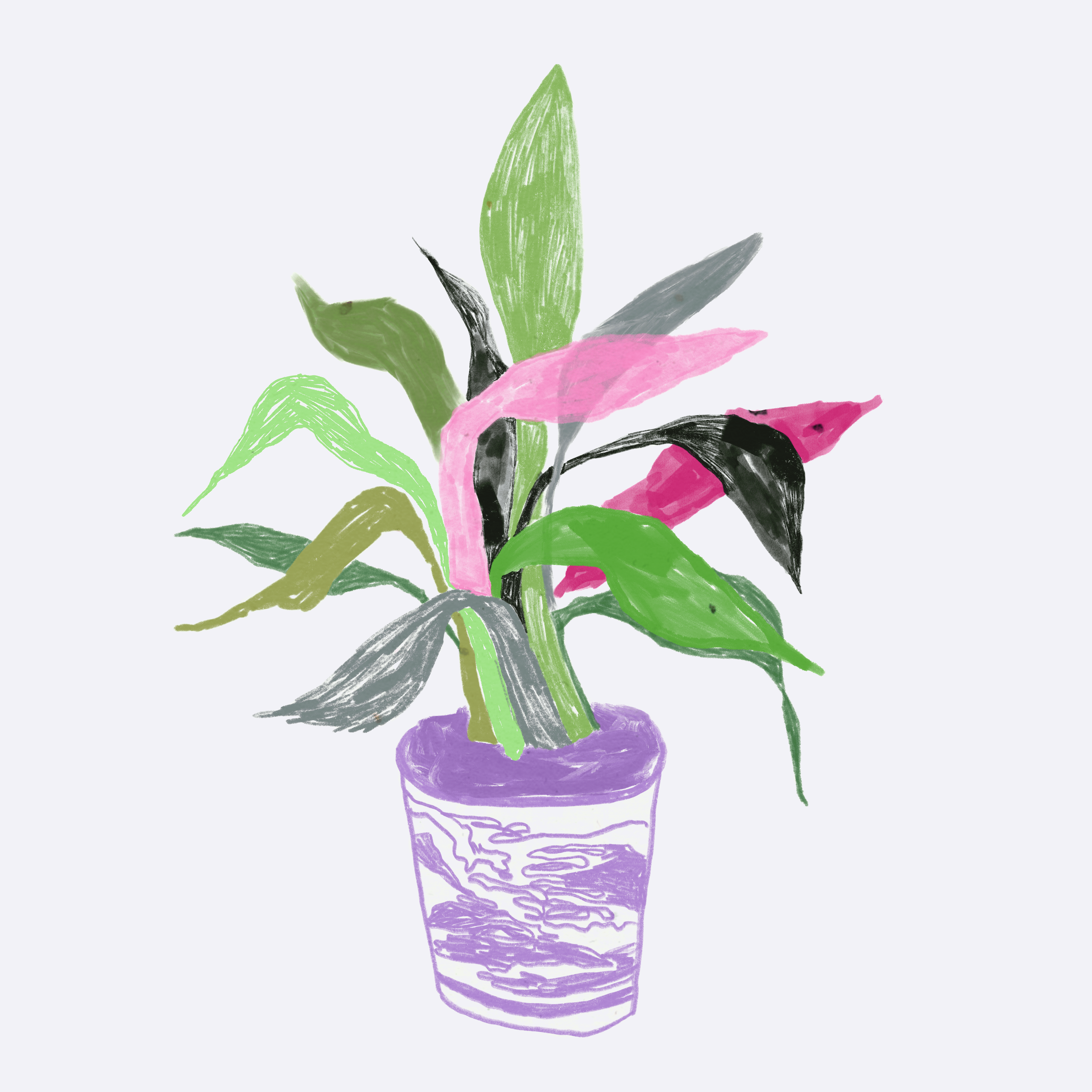 pot_drawing_2_+_gif.gif