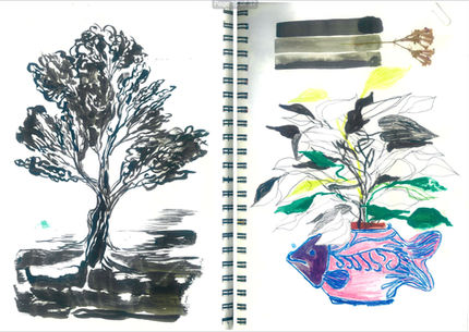 Botanical studies