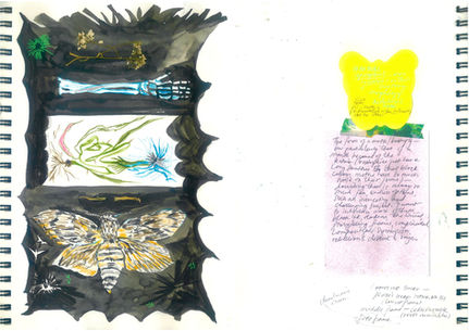 Moth, rot and humerus and other bones