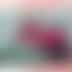 +++ Das neues Saisonheft ist da +++