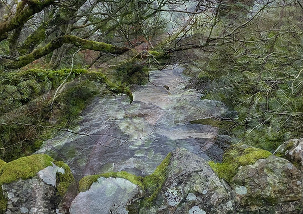 Untitled_Artwork 45.jpg