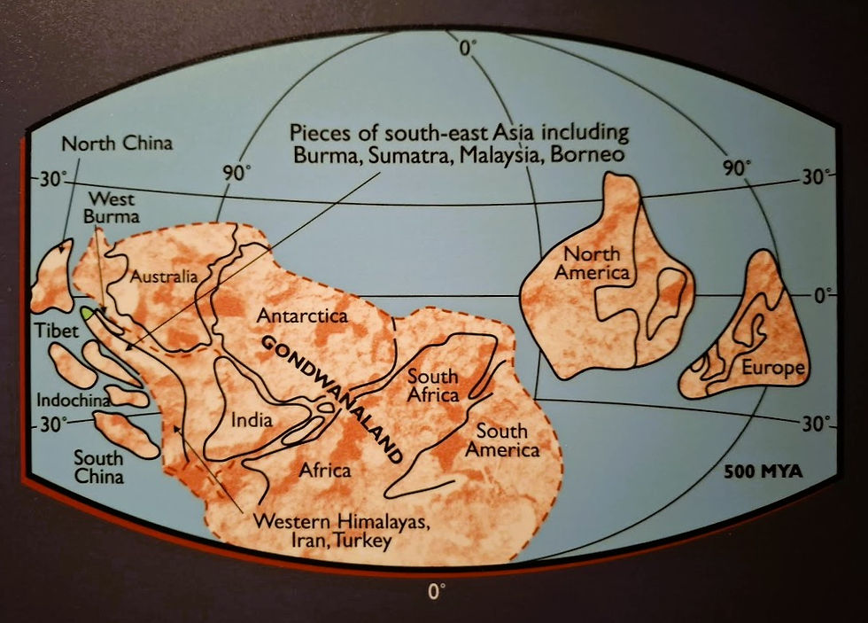 Ősi földtérkép, amely a Gondwana szuperkontinens északi területeit mutatja. Látható Ausztrália, India, Antarktisz, Amerika, Európa.