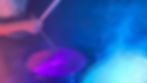 94979962-2C97-452B-A76C-4C81EE35727F_edited.jpg