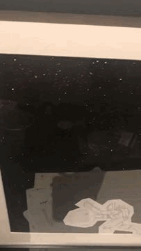 C2717088-82FE-4ED6-AE88-8A4C390476A6.gif