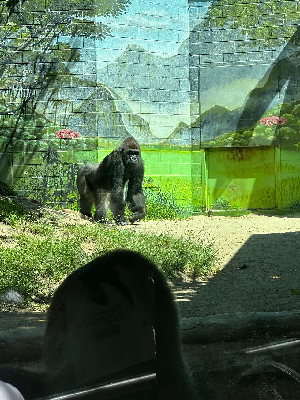 San Diego Zoo