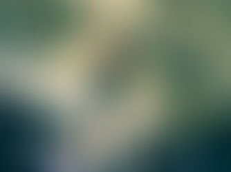 Jules Marchaland réussit un flash historique à Magic Wood : deuxième 8C bloc flash au monde