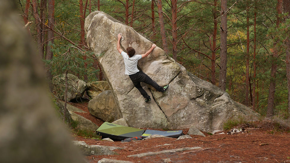 surfréquentation Fontainebleau escalade