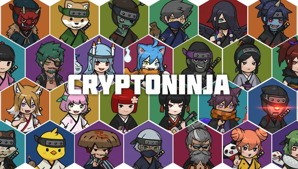 CNP Rookies | NinjaDAO CNP Rookies | NinjaDAO
