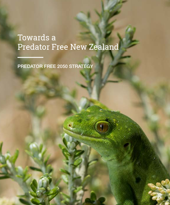 Naultinus gemmeus (Jewelled gecko)
