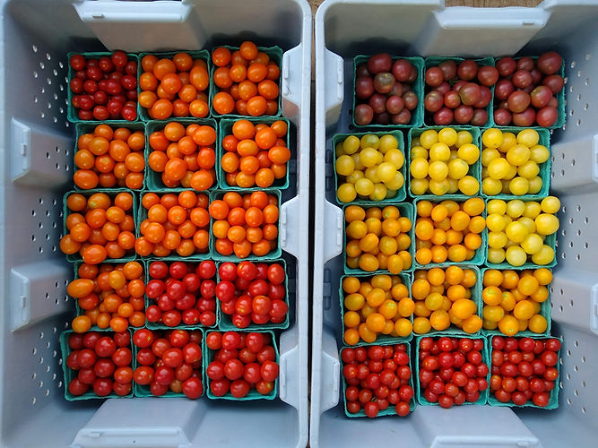 IMG_20200807_194044347 (2)_edited.jpg