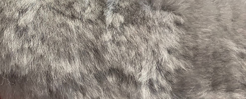 Thumbnail: Steering Wheel Covers