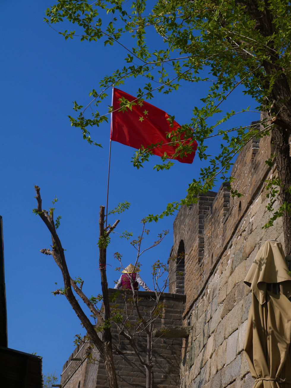 P1060370
